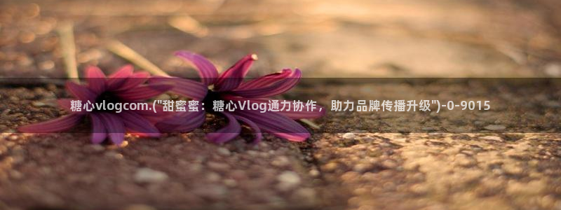 糖心vlog 在线看