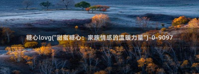 心糖vlog官网入口