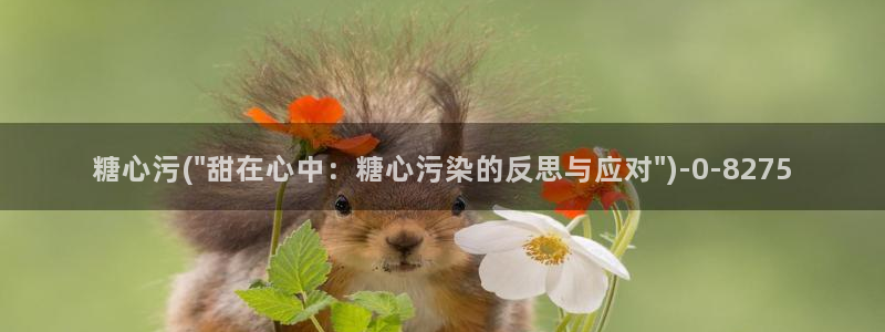 网站糖心vlog