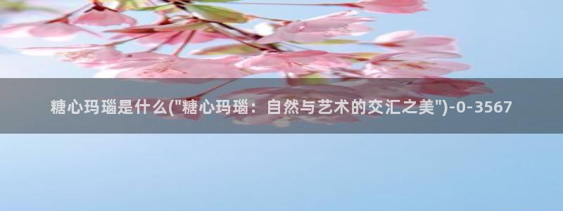 糖心vlog破解版下载www