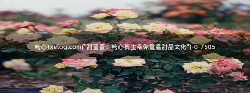 糖心vlog入囗