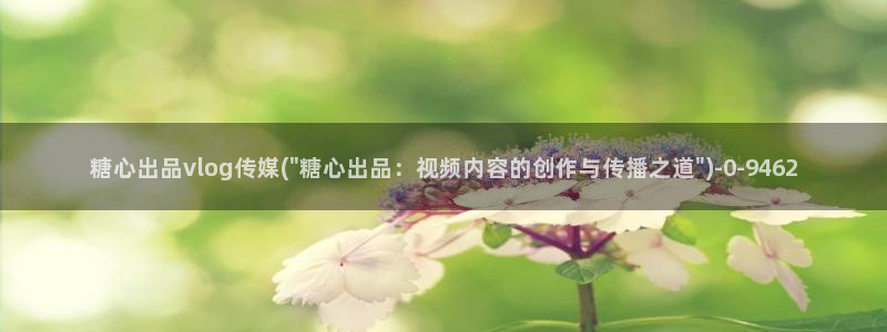 糖心vlog破解版v3.3.0