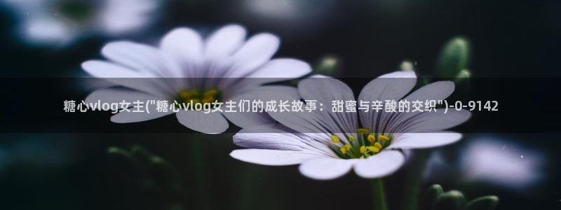 糖心vlog安装
