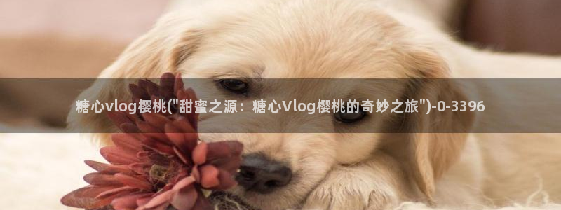糖心vlog精品一区二区_糖心vlog官网_tx01