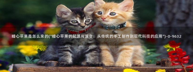 糖心vlog司雨