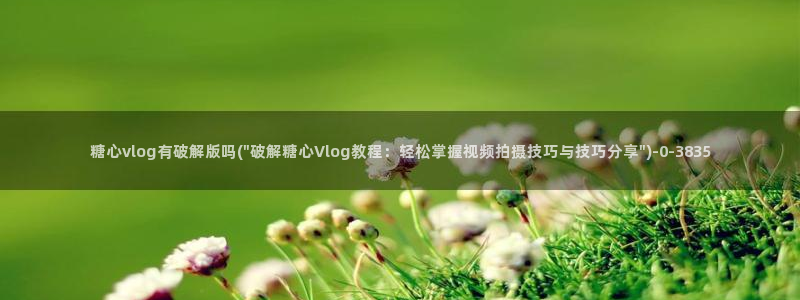 糖心vlog传媒女演员