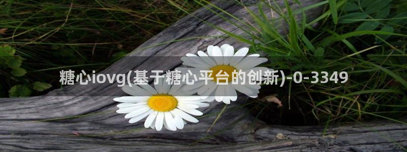 糖心vlog网页入口