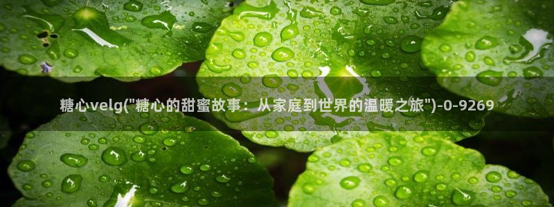糖心vlog官网免费版