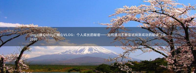 糖心vlogo